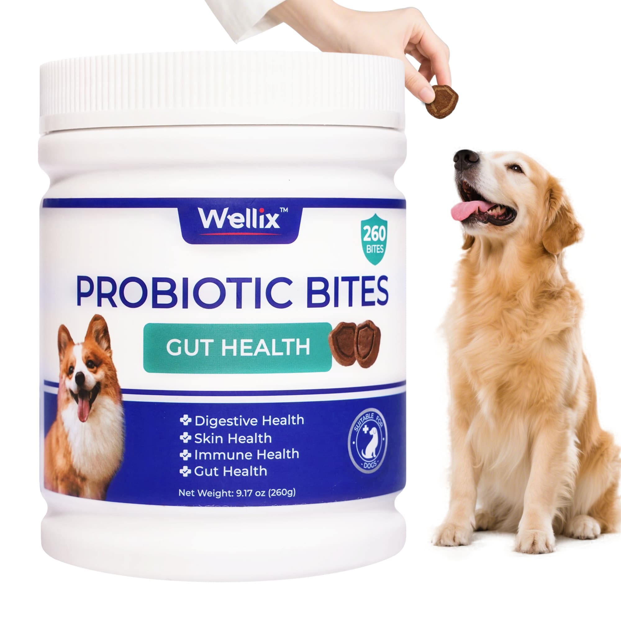 Wellix Probiotics for Dogs - Dog Probiotics & Prebiotics with Pumpkin for Digestive Health, Allergy & Itchy Skin Relief - Natural Gut Health Supplement - 260 Bites